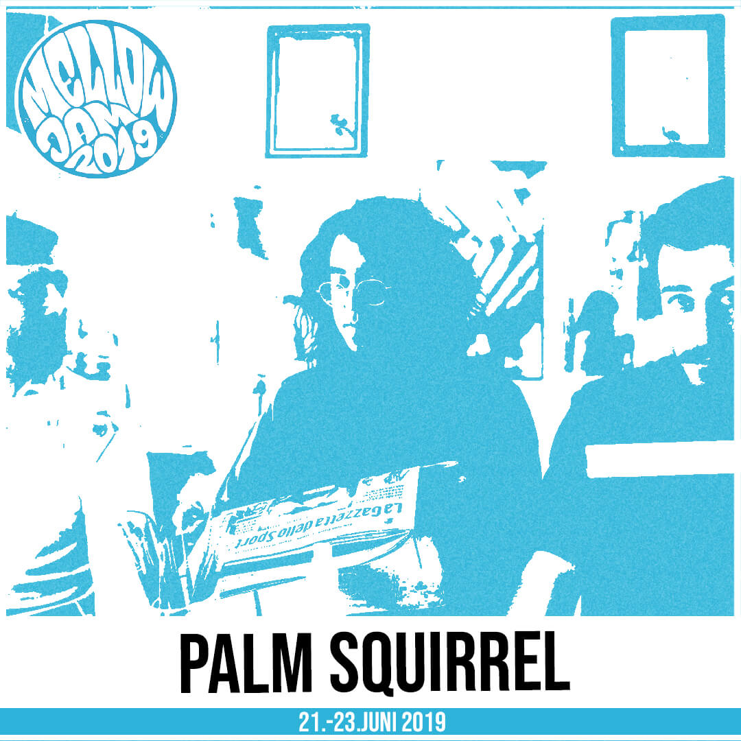 Palm Squirrel